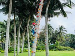 -石梅湾艾美度假酒店