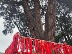 -玉泉观