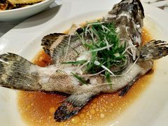 清蒸沙巴龙趸-稻香酒家·33年老字号·港式粤菜(富邦中心店)