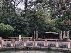 -成都市活水公园