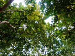 -常熟路(地铁站)