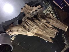 天悦会-天悦会