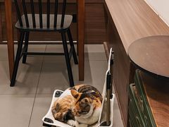 -Again Coffee Roaster(香蜜湖店)