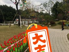 -乌山风景区