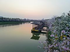 -海珠湖公园