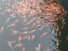 -长春市南湖公园