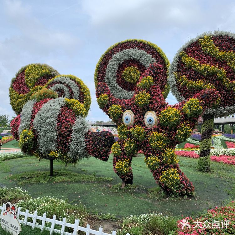 打卡奇迹花园，我老公说很山寨，主要就是城堡和花海