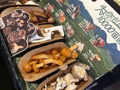 当季野生菌四拼-芸山季·云南野生菌火锅(人民广场来福士店)