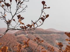 -吉林市朱雀山国家森林公园