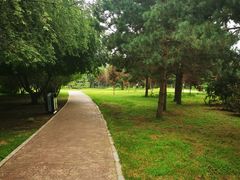 -长春公园(普阳街道)