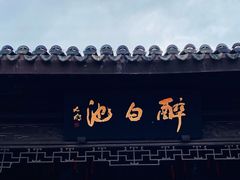 -上海醉白池公园