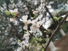 -白塘生态植物园