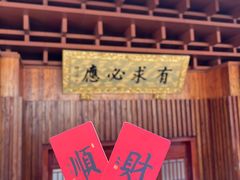-深圳仙湖植物园