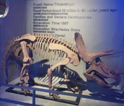 -恐龙探索乐园(磁器口店)