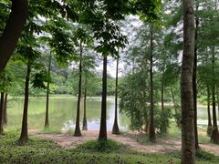 -华南国家植物园-售票处