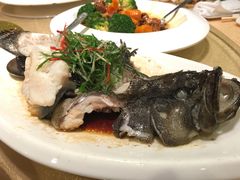 -御同亨酒楼·喜宴