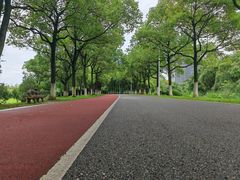 -艾溪湖湿地公园