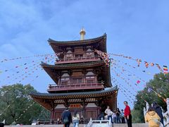 -庐山风景名胜区-东林大佛