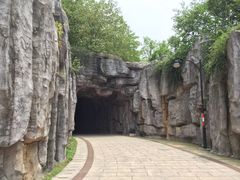 -巢湖姥山岛