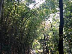 -穹窿山景区