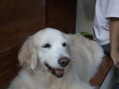 -Line 咖啡(石厦花园店)