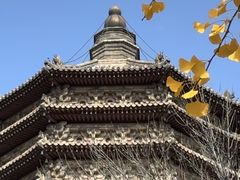 -玲珑塔公园