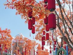 -沈阳方特欢乐世界