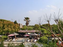 -张家港金凤凰度假村温泉