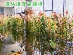 -泗洪县文化艺术中心