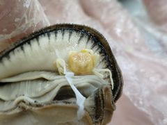 -仙螺岛海鲜自助餐厅(总店)