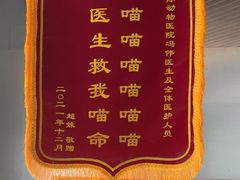 -中农国际动物医院24小时·猫科·骨科·急重症中心
