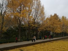 -玲珑塔公园