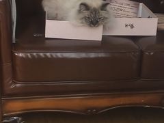 -剧狐剧本杀·月球探案馆(人民广场1号店)