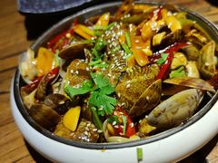 -并州大牌档之醉轻尘