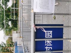 -大宁公园