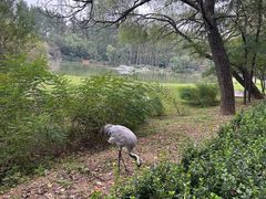 -秦皇岛野生动物园