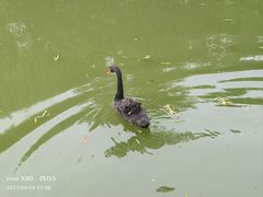 -天目湖涵田度假村