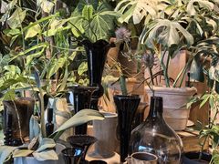-自由生长植物工作室(深港花卉中心店)