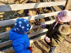 -安德鲁户外烧烤帐篷营地(马泉营店)