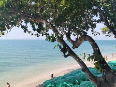 -卷心菜和避孕套餐厅(Pattaya)