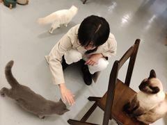 -猫友咖啡店(玉林西路店)