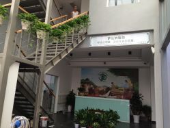 -P.V.传统瑜伽学校
