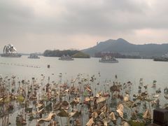 -茗醉园茶楼