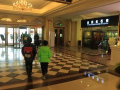 -随州碧桂园凤悦凤凰酒店