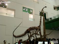 -中国科学技术馆影院