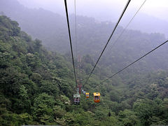 景点-青城后山