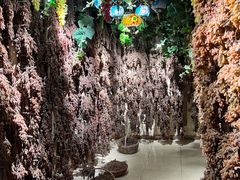 -新疆国际大巴扎