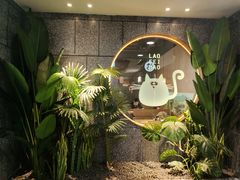 -佬肥猫(国华广场店)
