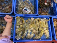 -吴记富苑(朝阳店)