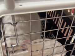 -瑞鹏宠物医院·普外科·影像科·皮肤科(城市山谷分院)